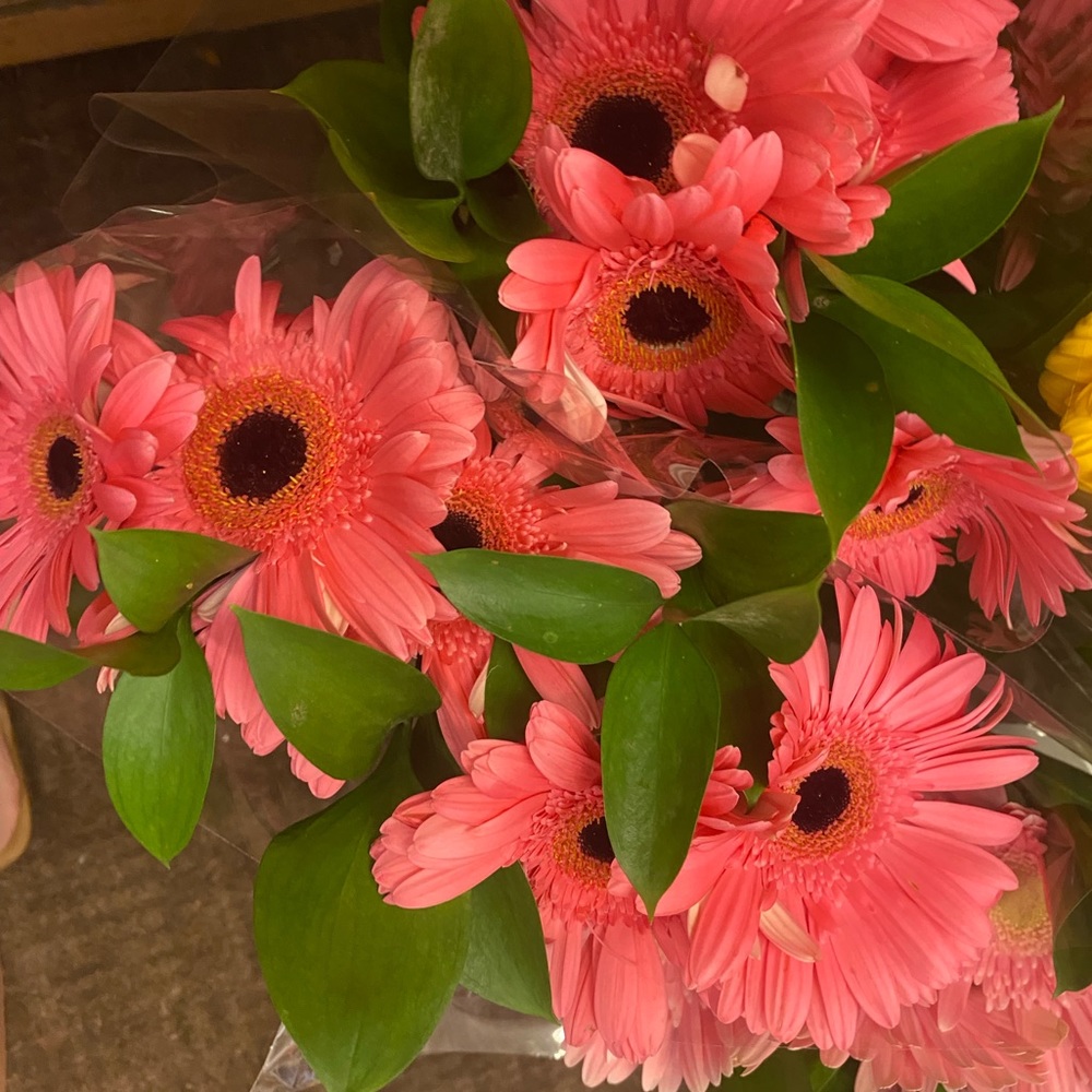 Meet your Posher, Angela